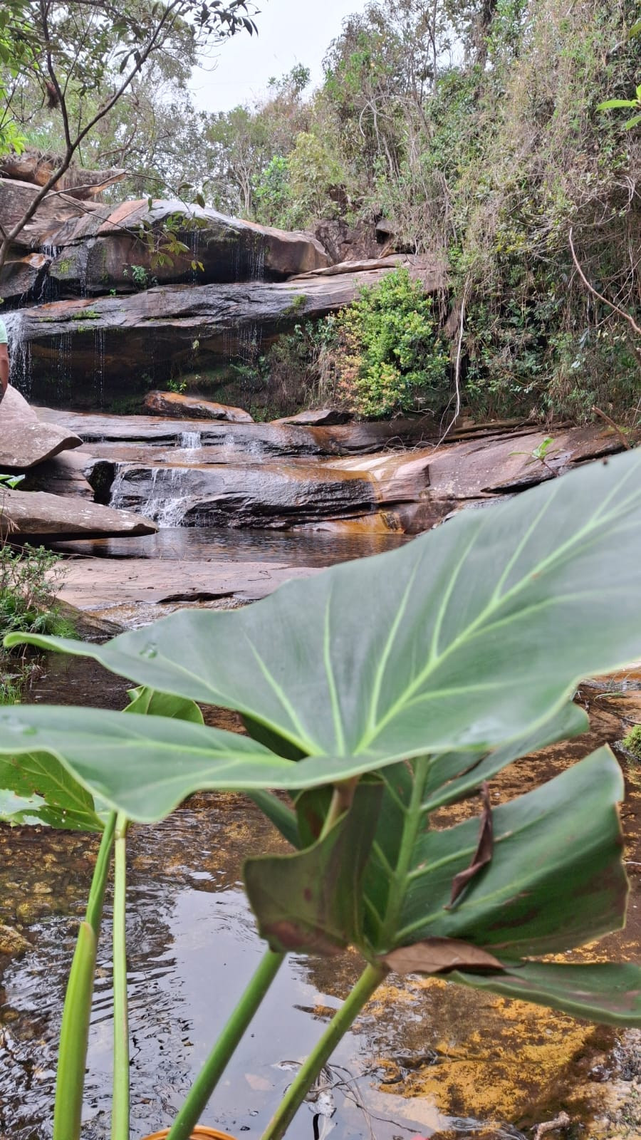 Cachoeira da Ponte