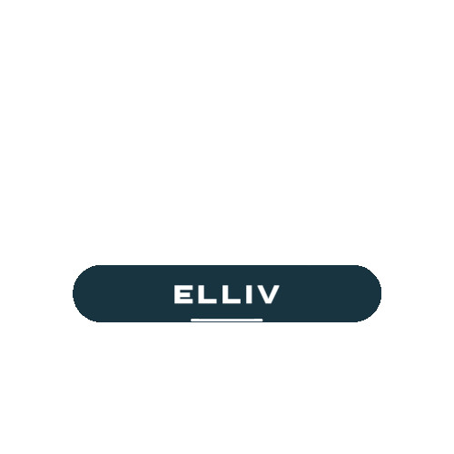 Comercio Eletronico Elliv