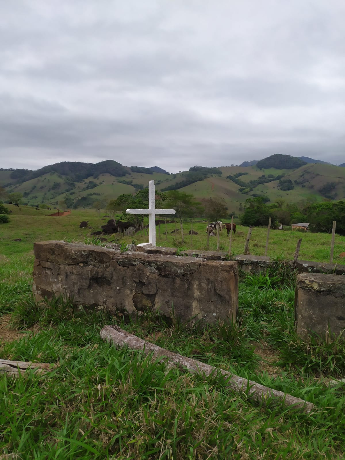 Ruinas do cemitério das Vitimas de Varíola