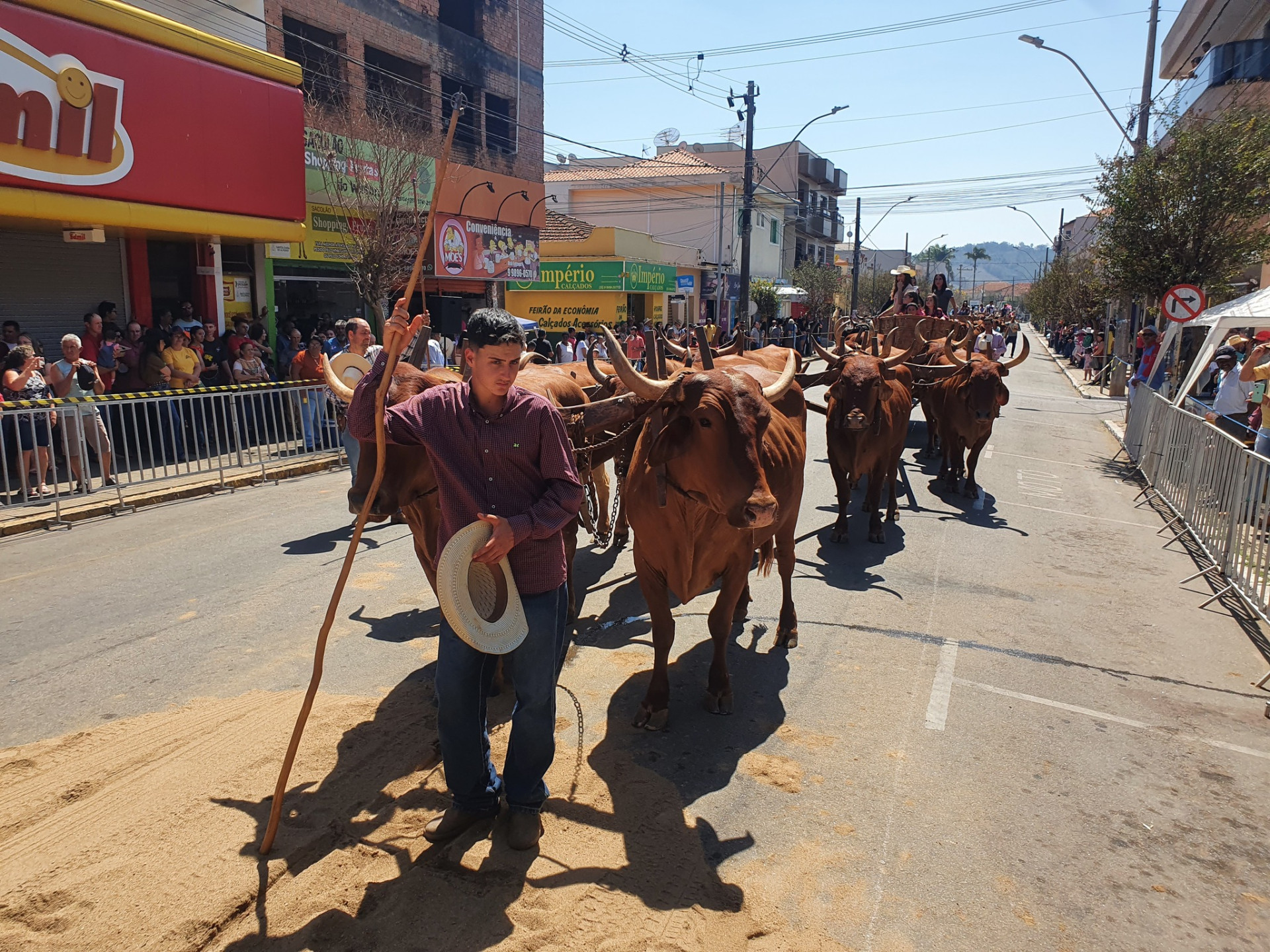 Cavalhada e Encontro de Carreiros de Botelhos