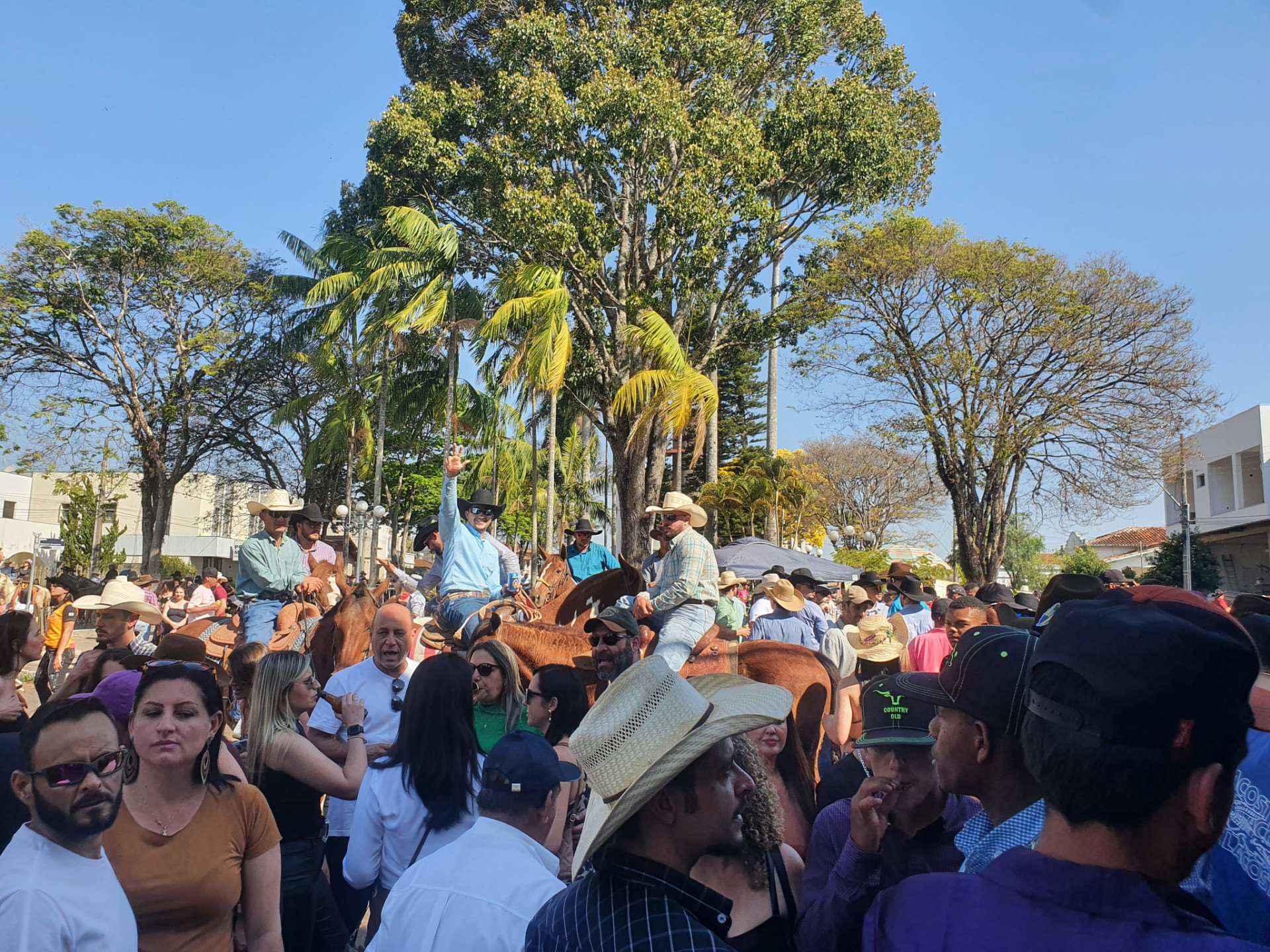 Cavalhada e Encontro de Carreiros de Botelhos