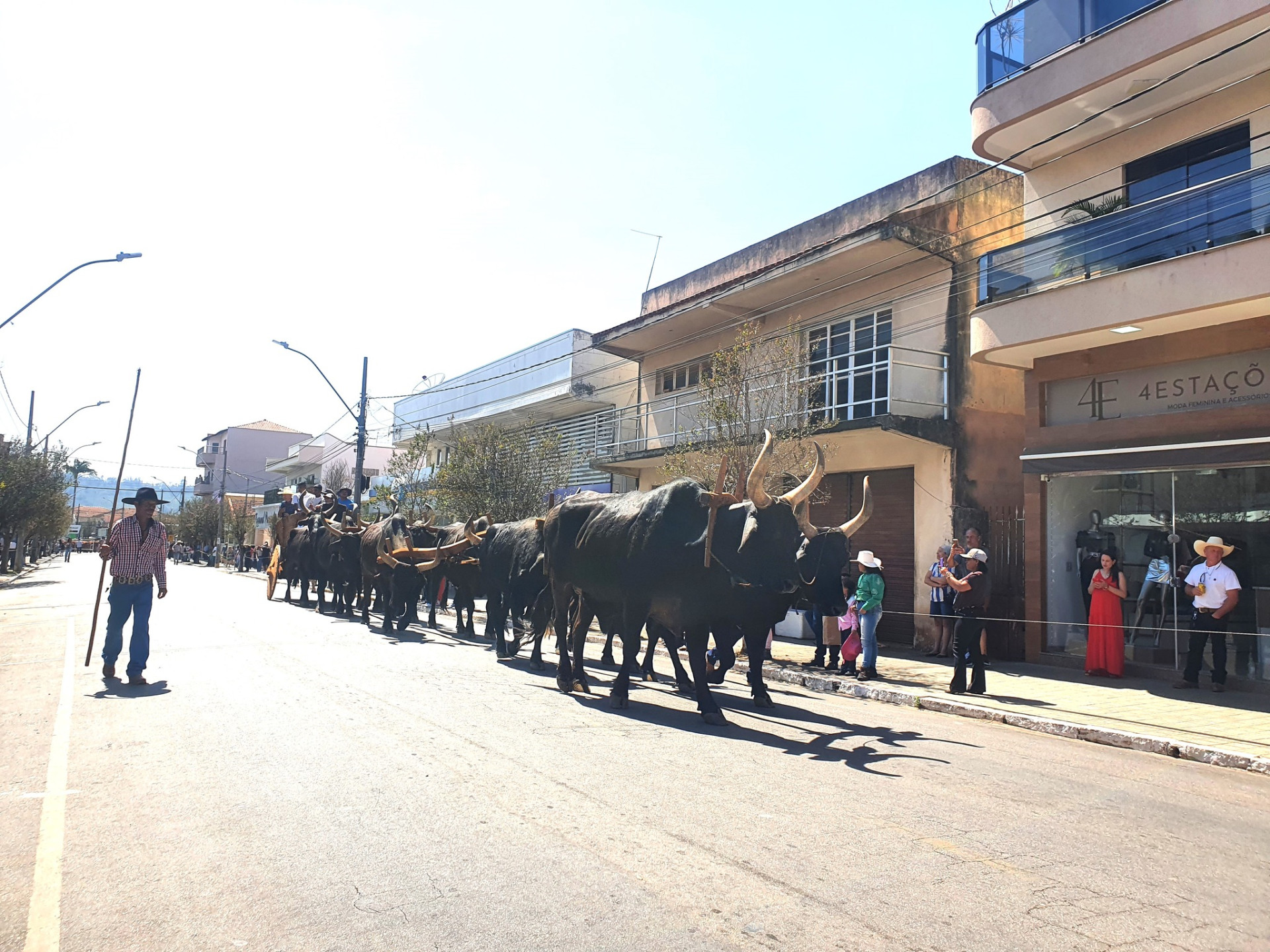 Cavalhada e Encontro de Carreiros de Botelhos