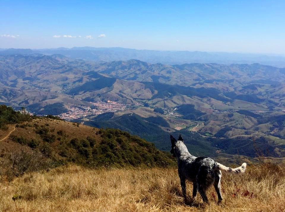 Campo do Muro