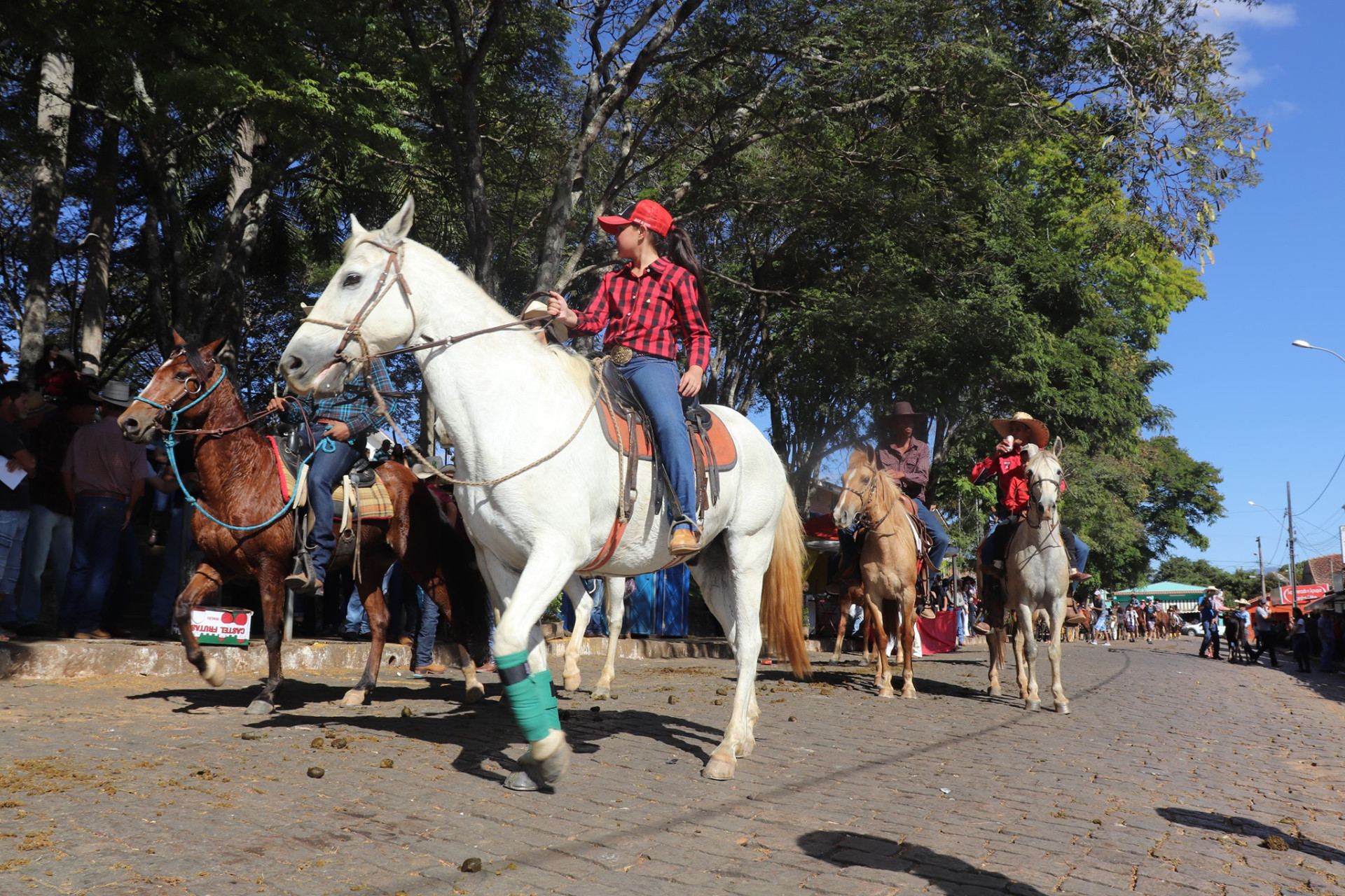 Cavalhada e Encontro de Carreiros de Palmeiral