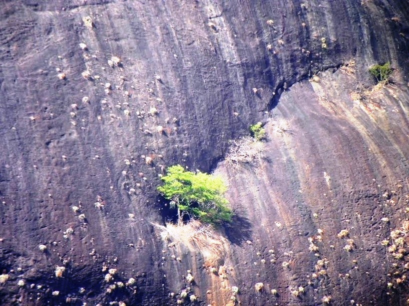 Caverna da Aparição