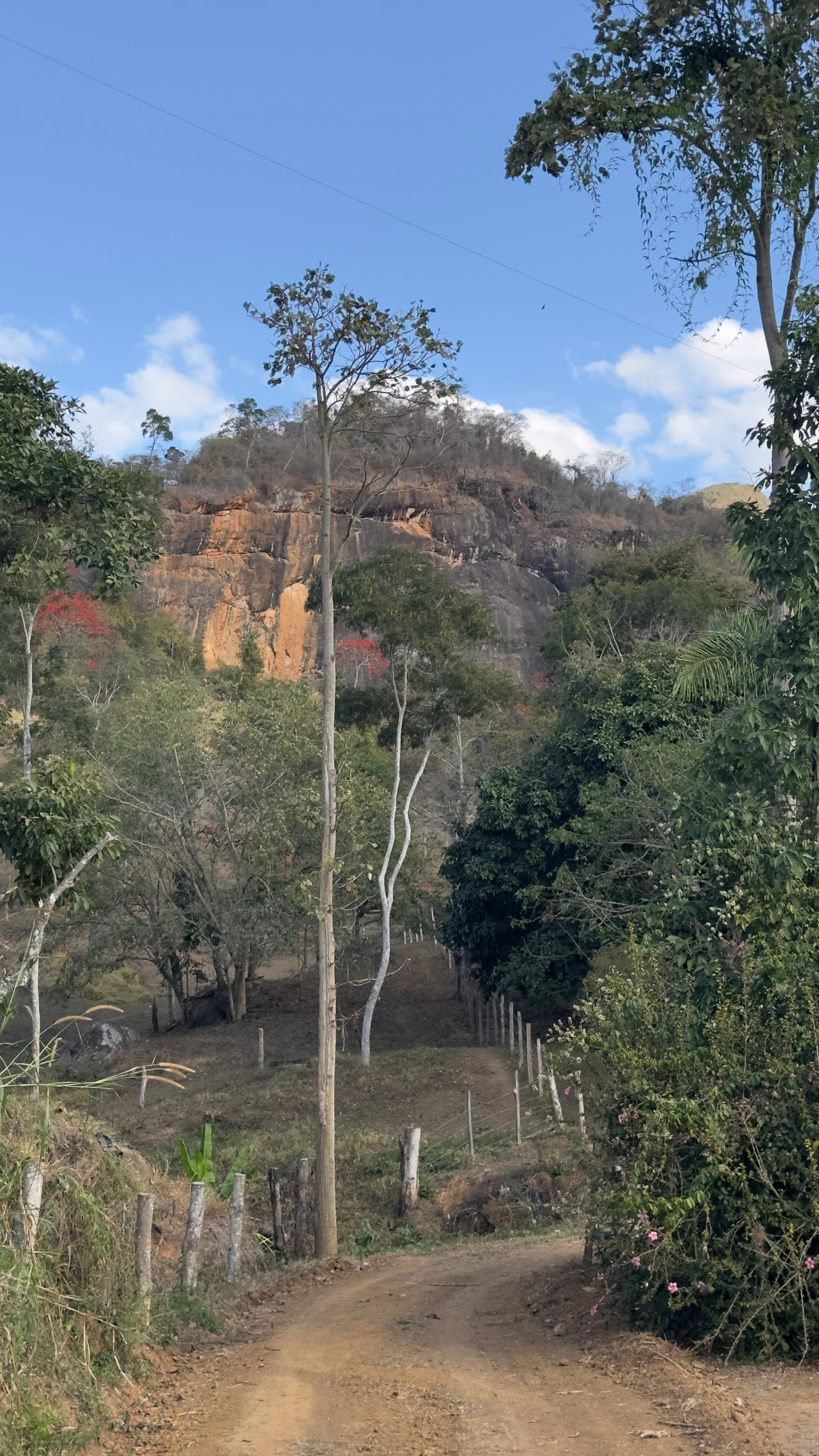 Gruta da Pedra Cabeluda