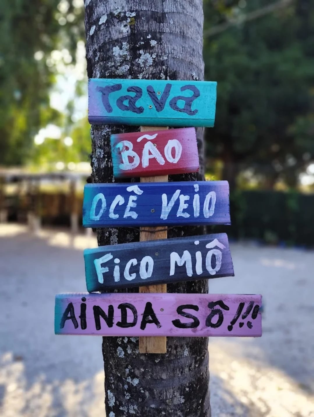 Hotel e Pousada Casa Verde