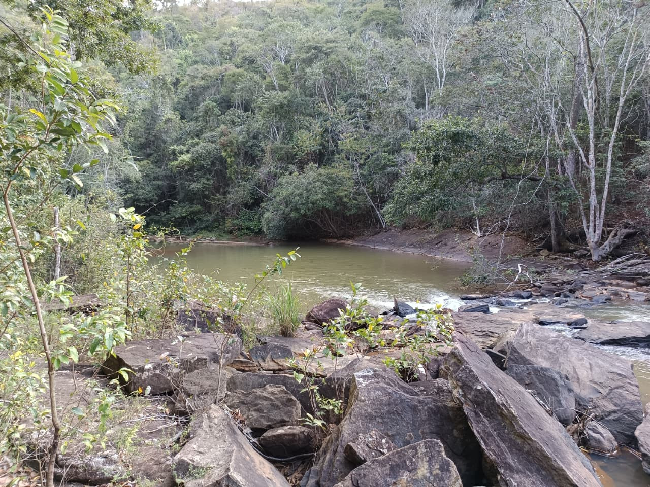 Cachoeira da Neblina 