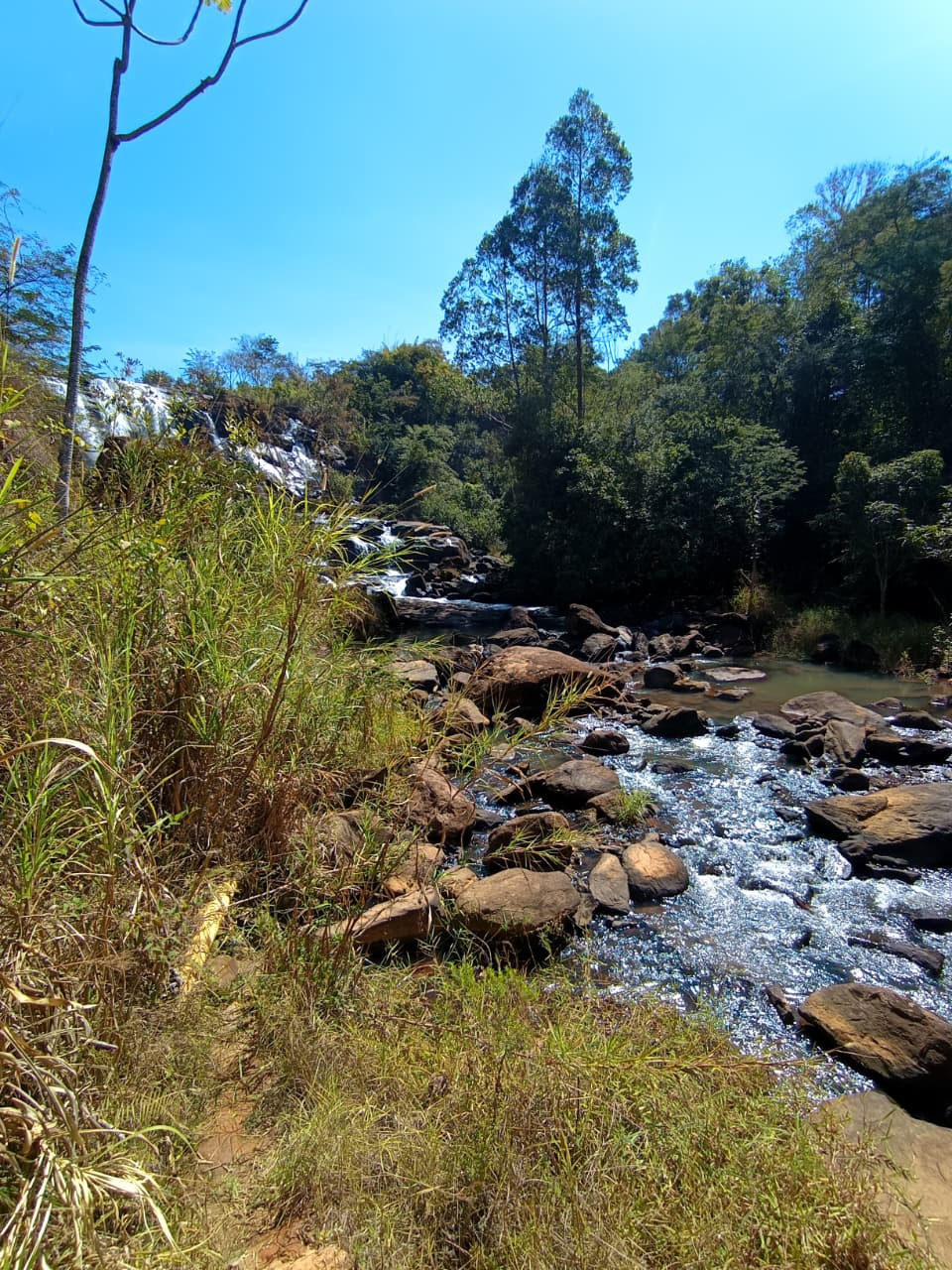 Cachoeira dos Ferreiras 