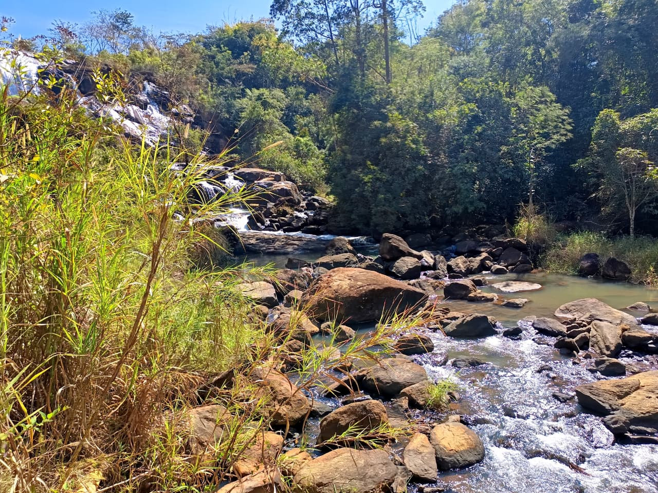 Cachoeira dos Ferreiras 