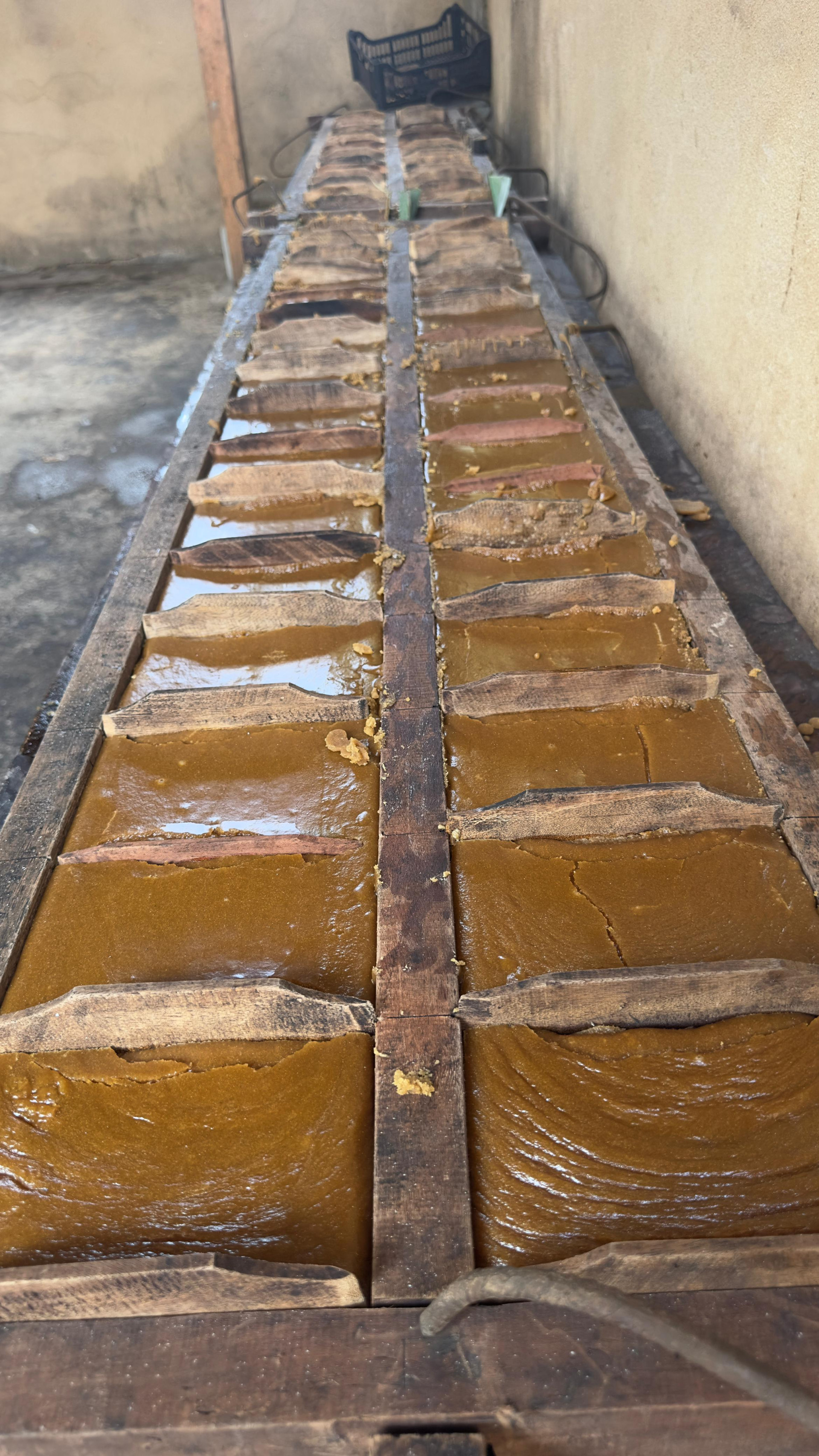 Fazenda Vista Alegre