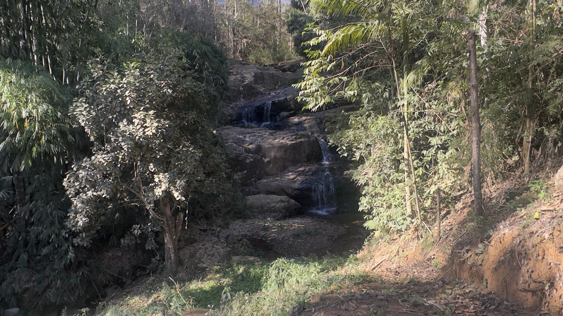 Fazenda Aristeu Vilete Pereira