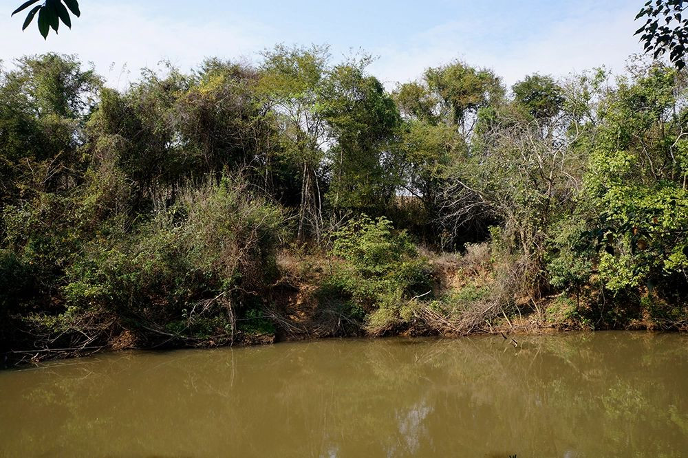 Rio São João