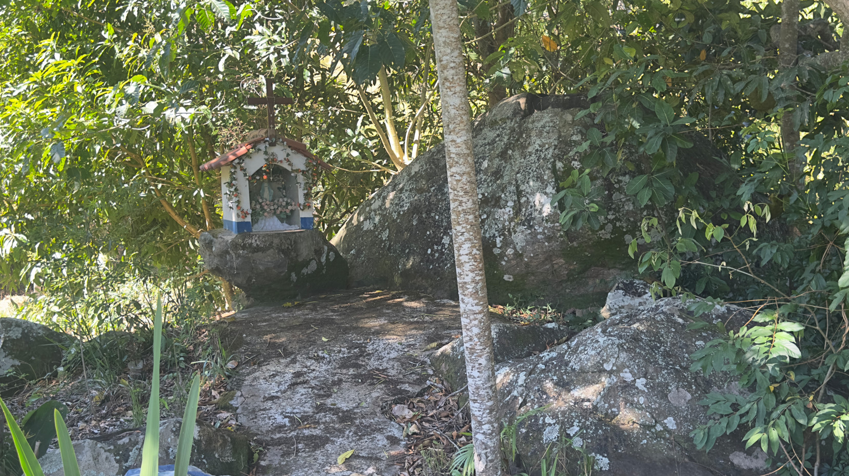 Fazenda Córrego Manso
