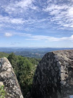 Explore Monte Verde