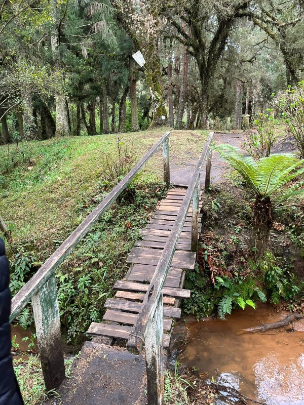 Explore Monte Verde
