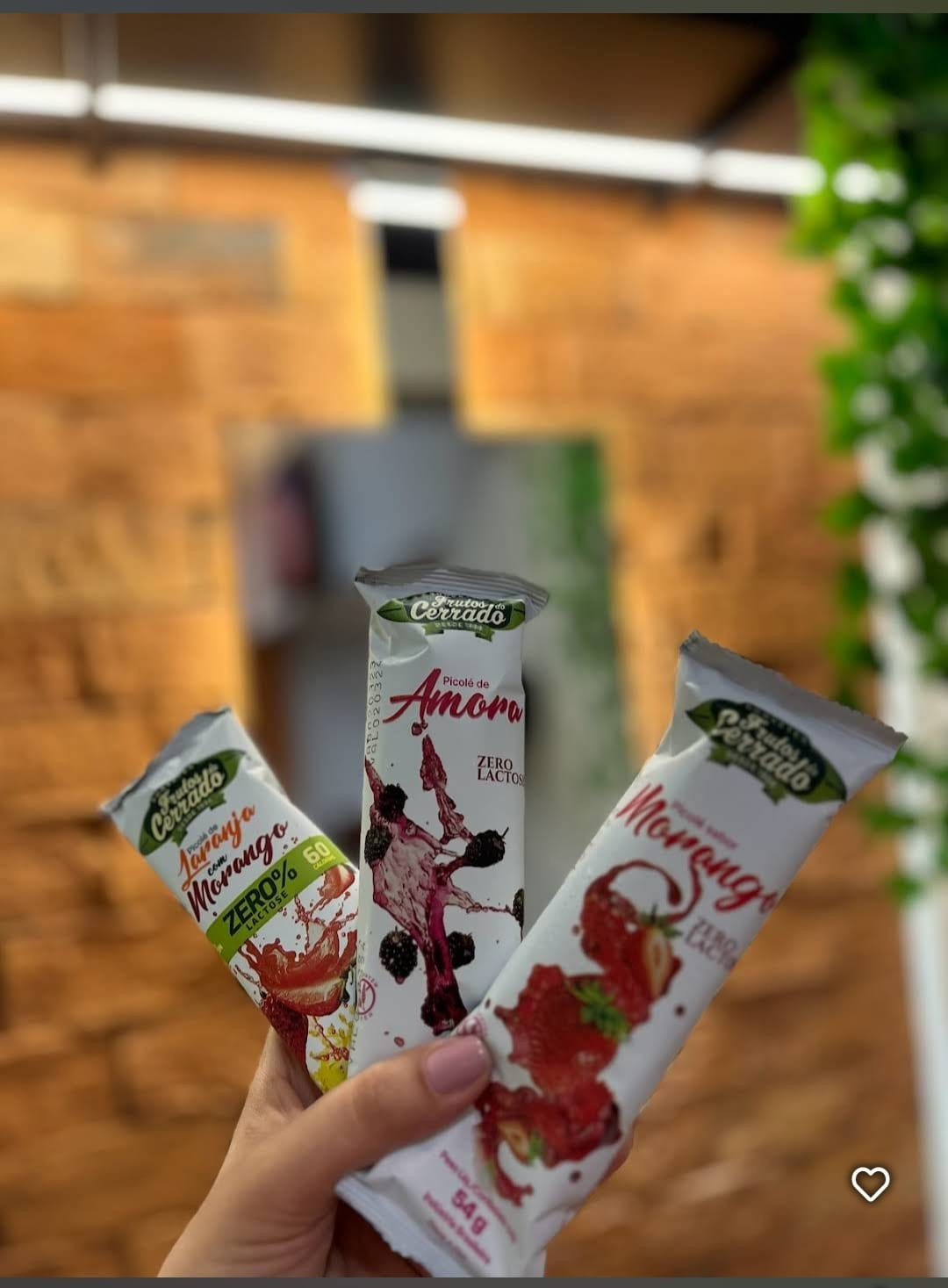 Frutos do Cerrado
