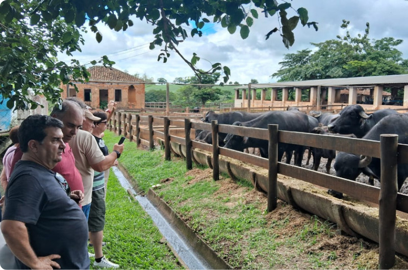 Doce Minas Turismo