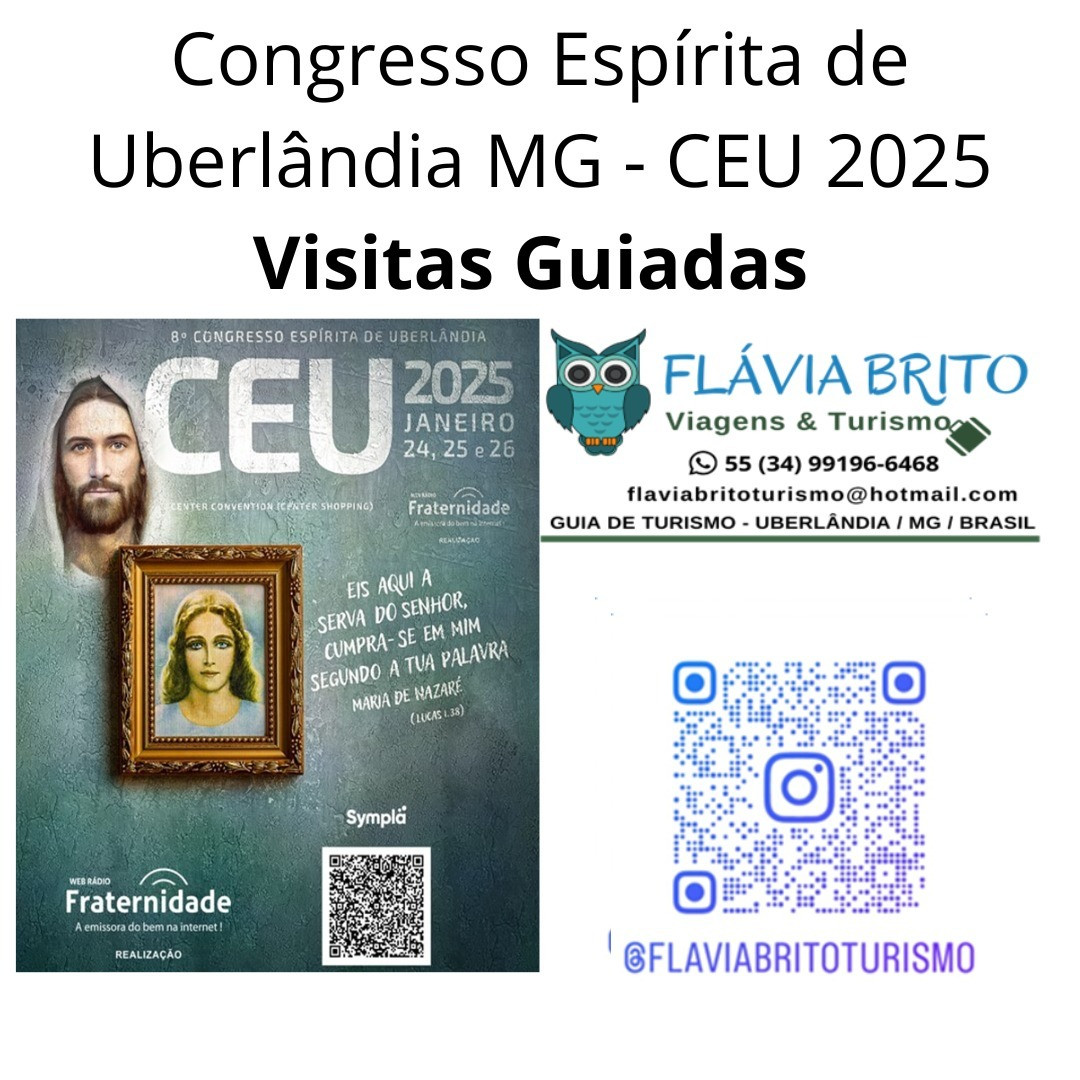 Flávia Brito Viagens e Turismo