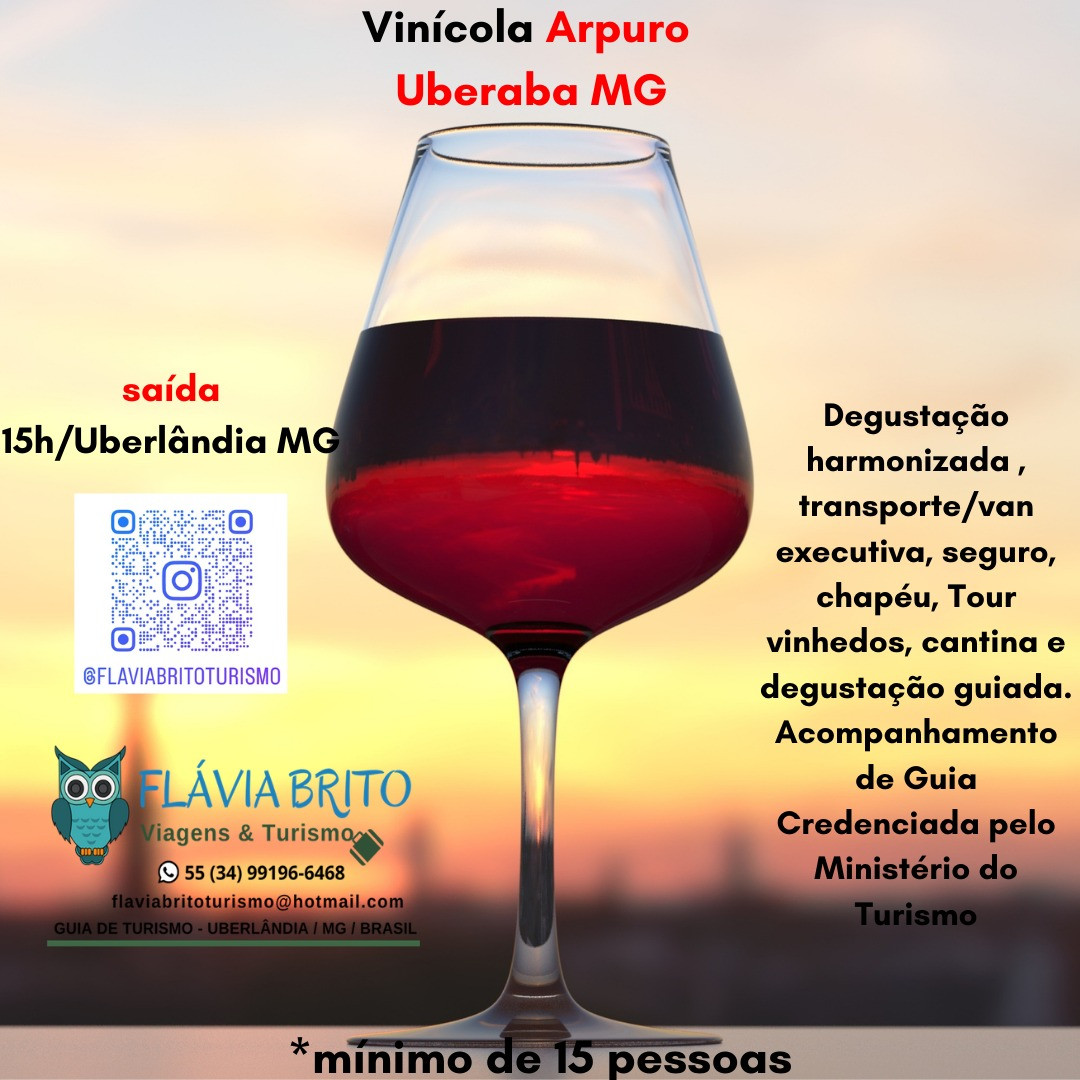 Flávia Brito Viagens e Turismo