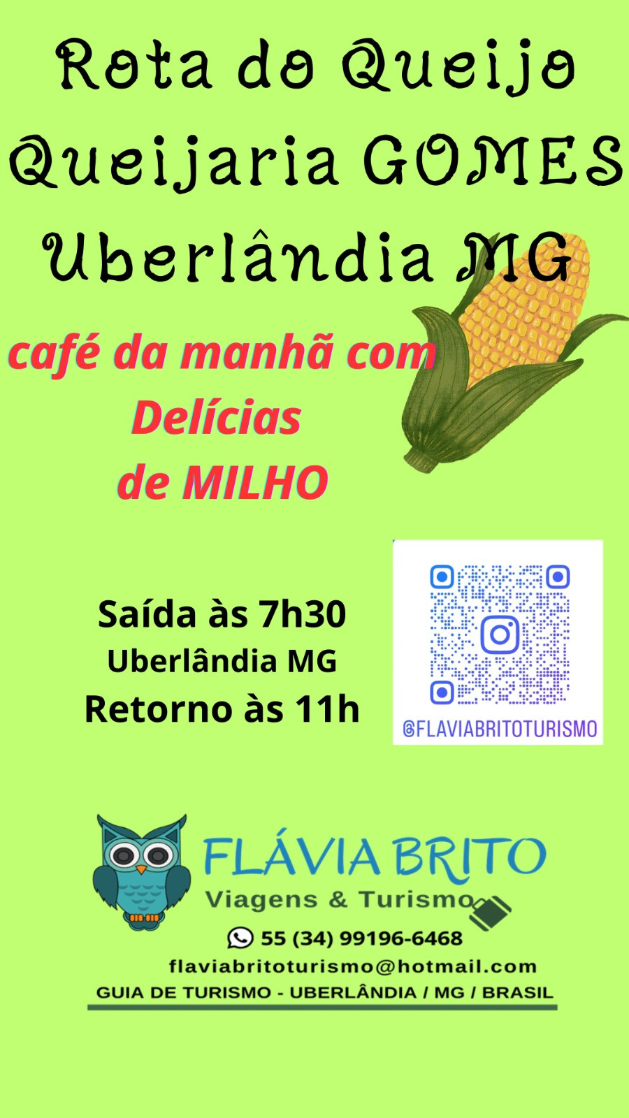 Flávia Brito Viagens e Turismo