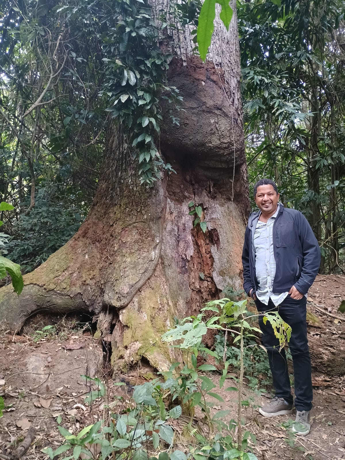 RAJ VIAGENS E TURISMO