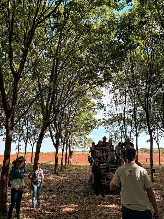 Planeta Cerrado