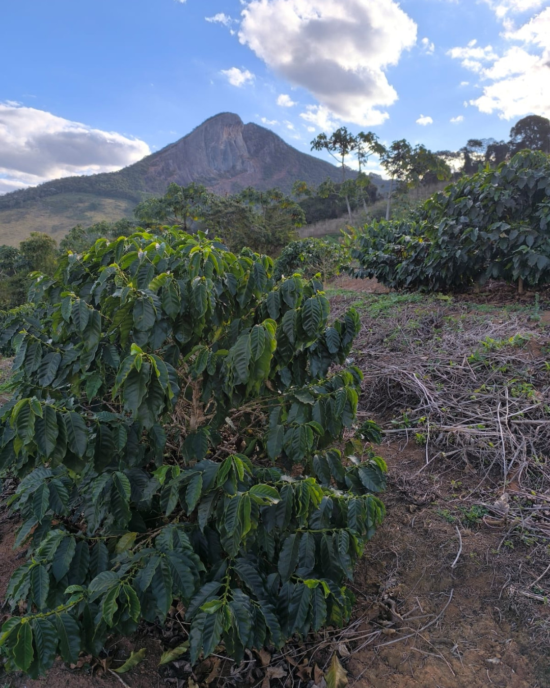 Cariema Ecoturismo