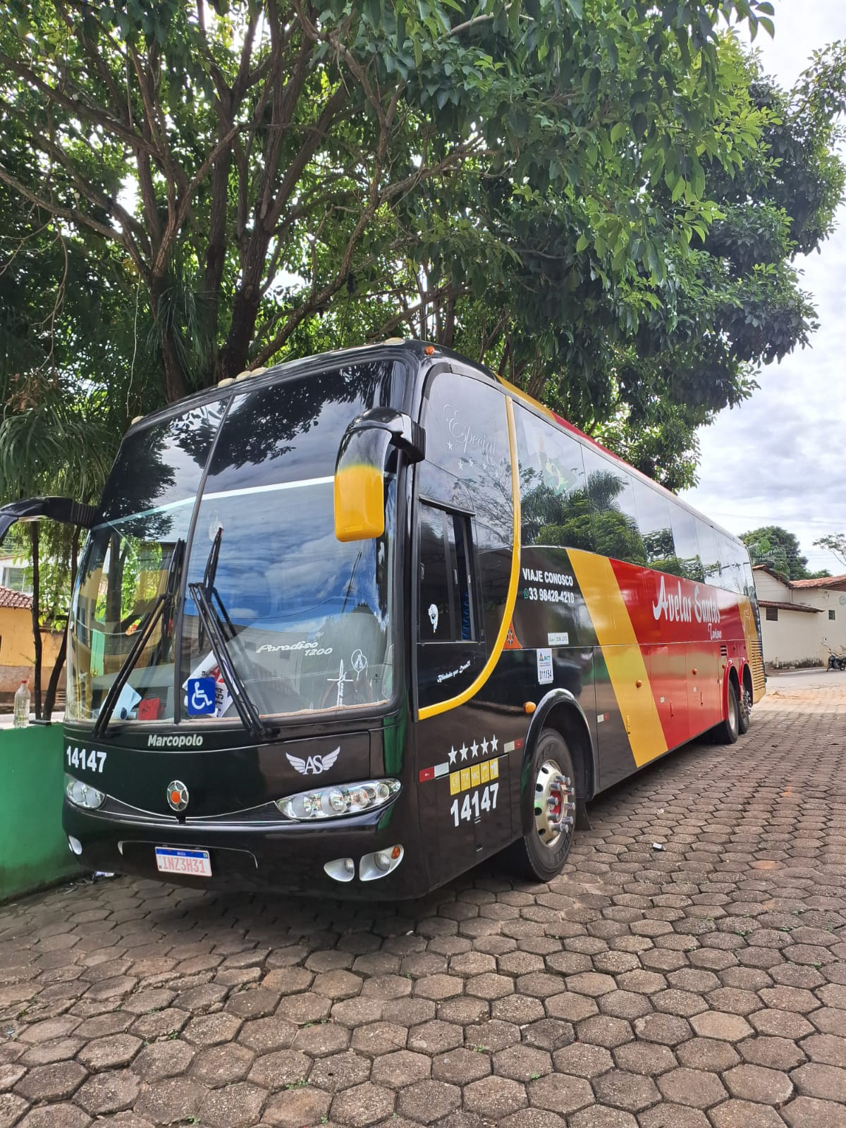 Avelar Santos Turismo