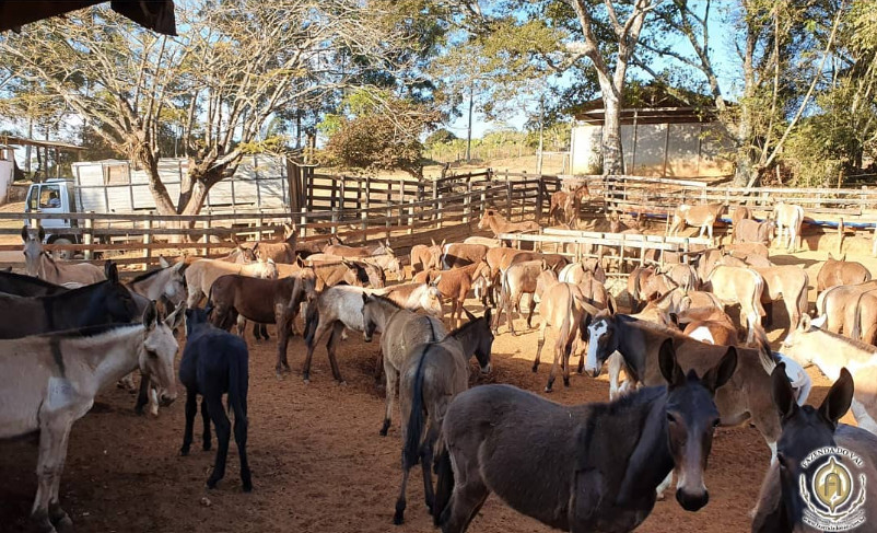 Fazenda do Vaú 