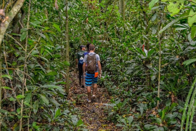 Parque Estadual do Rio Doce — foto 2 de 7