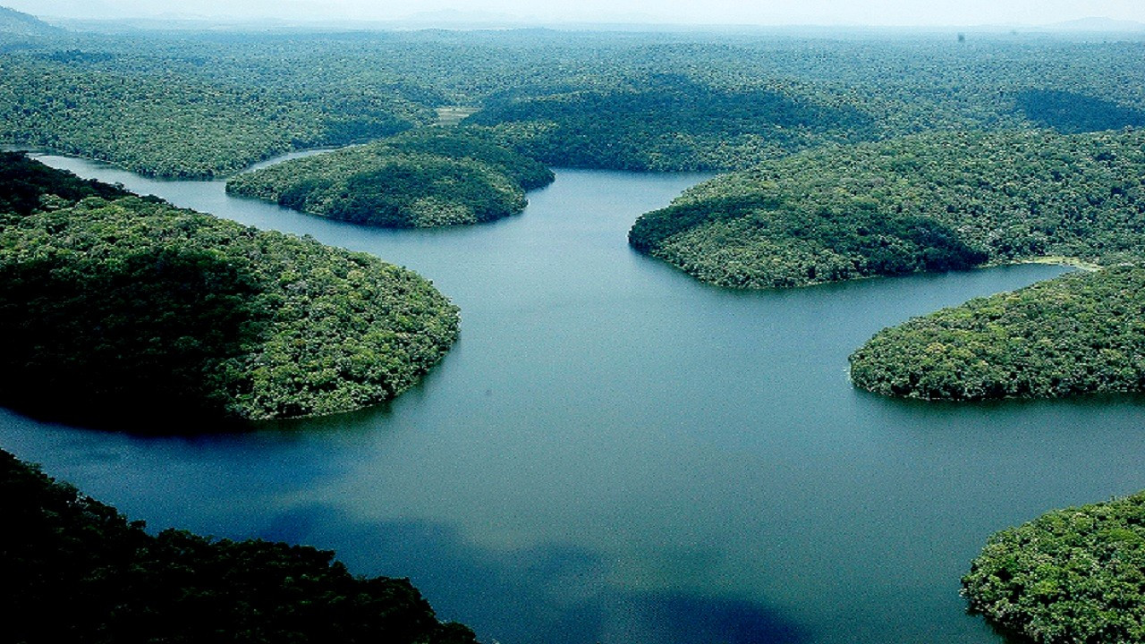 Parque Estadual do Rio Doce — foto 6 de 7