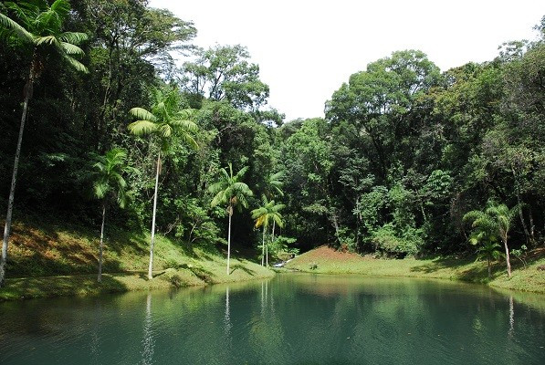 Parque Estadual da Serra do Rola-Moça — foto 8 de 8