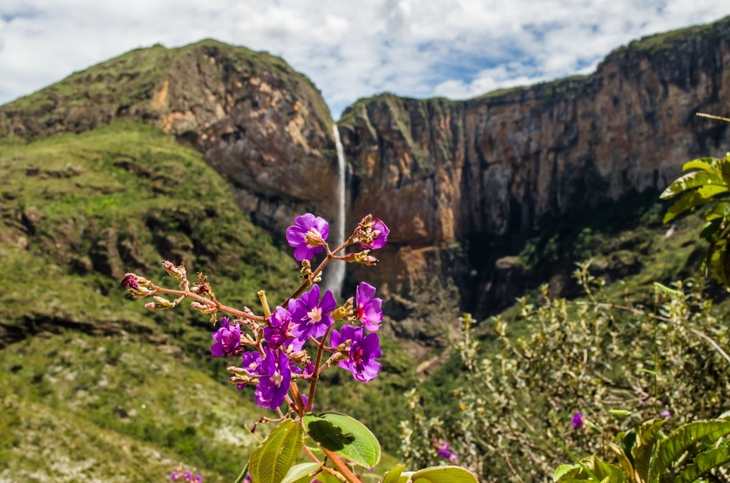 Parque Estadual Serra do Intendente — foto 5 de 5