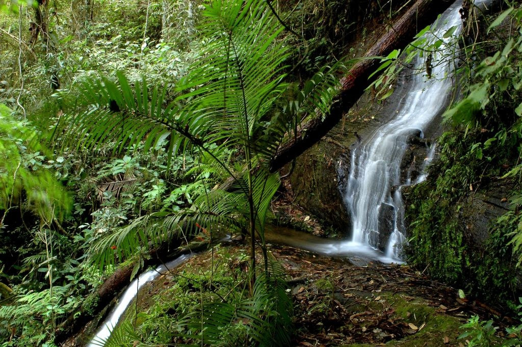 Parque Estadual Nova Baden
