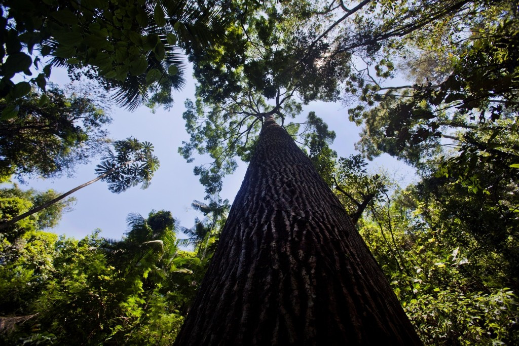 Parque Estadual Nova Baden — foto 4 de 5