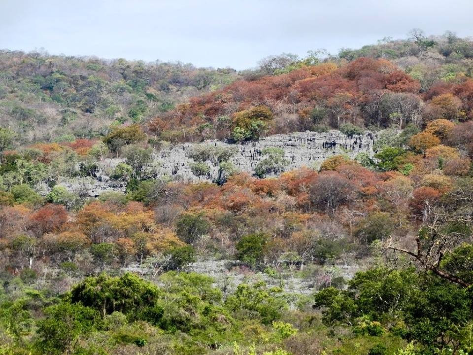 Parque Nacional Cavernas do Peruaçu — foto 8 de 8
