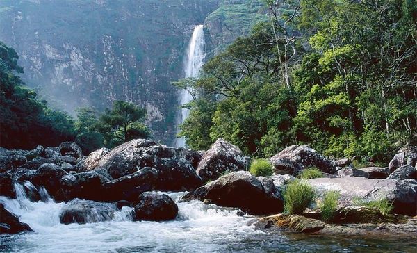 Parna da Serra da Canastra