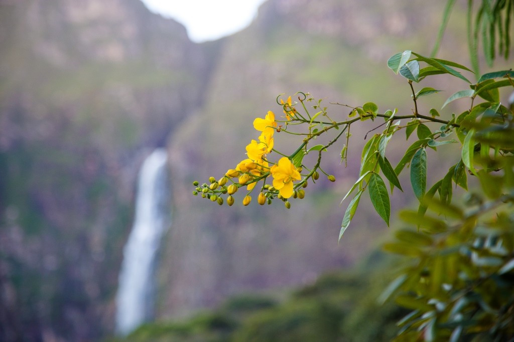 Parna da Serra da Canastra — foto 6 de 10