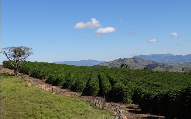 Araucária Ecoturismo - Imagem 14