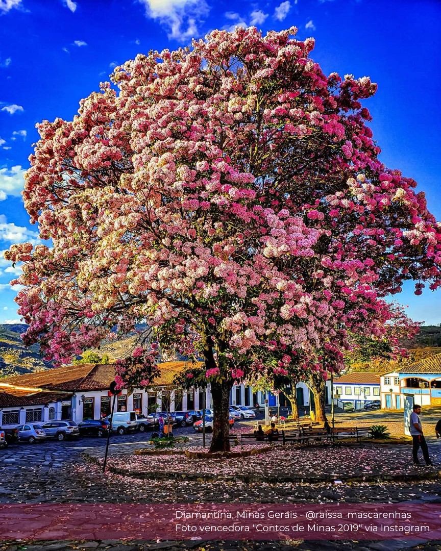 Diamantina — foto 2 de 2
