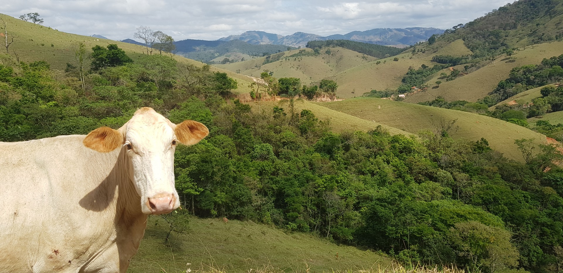 Araucária Ecoturismo - Imagem 20