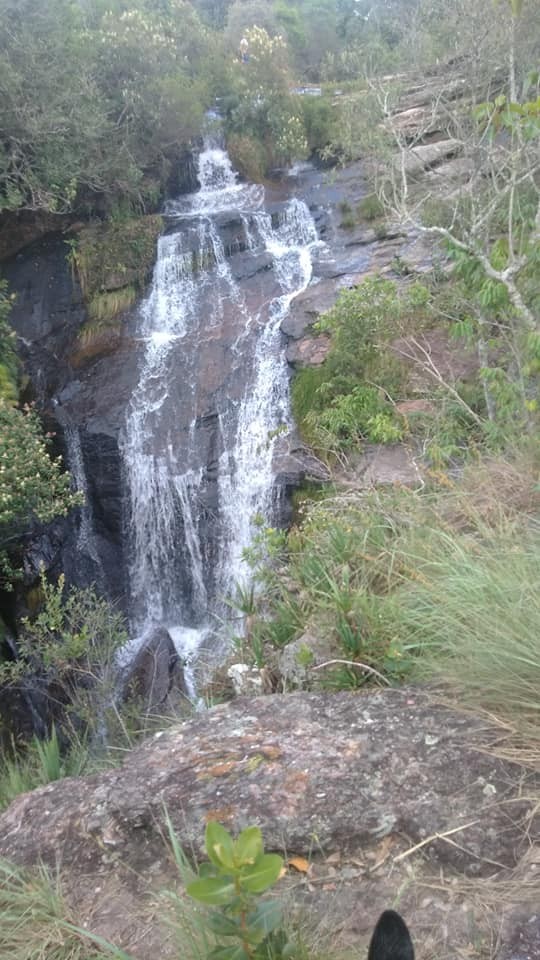 Araucária Ecoturismo - Imagem 23