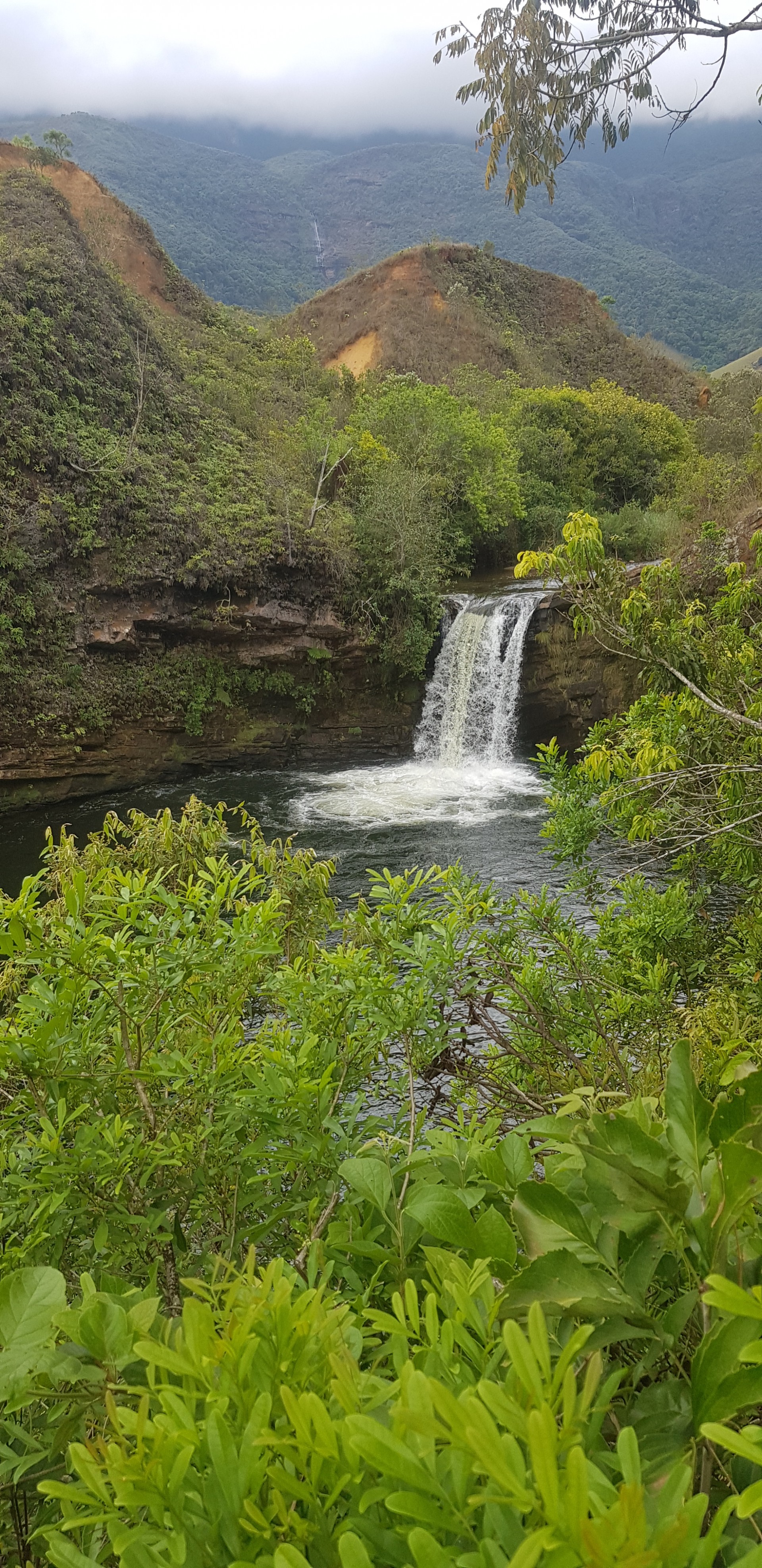 Araucária Ecoturismo - Imagem 28