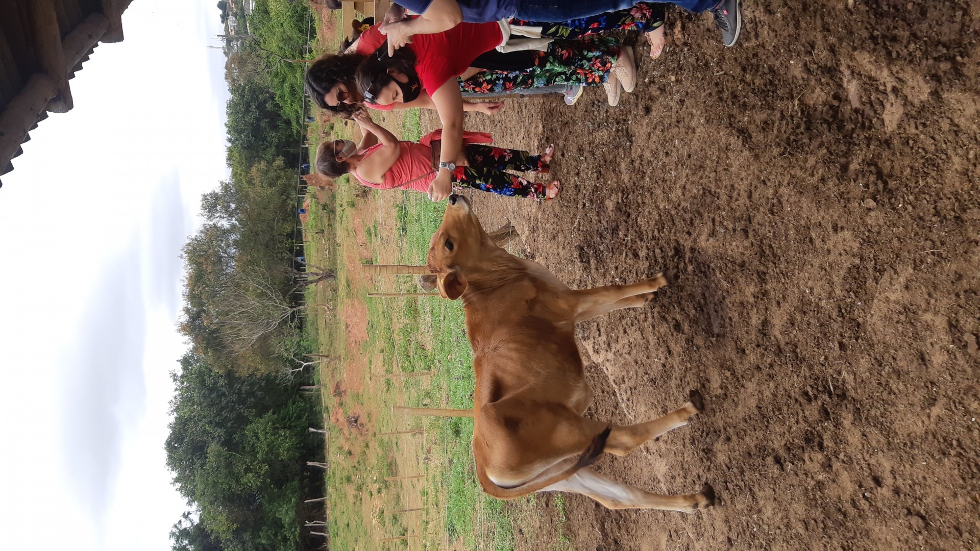 Uai Trip - Imagem 14