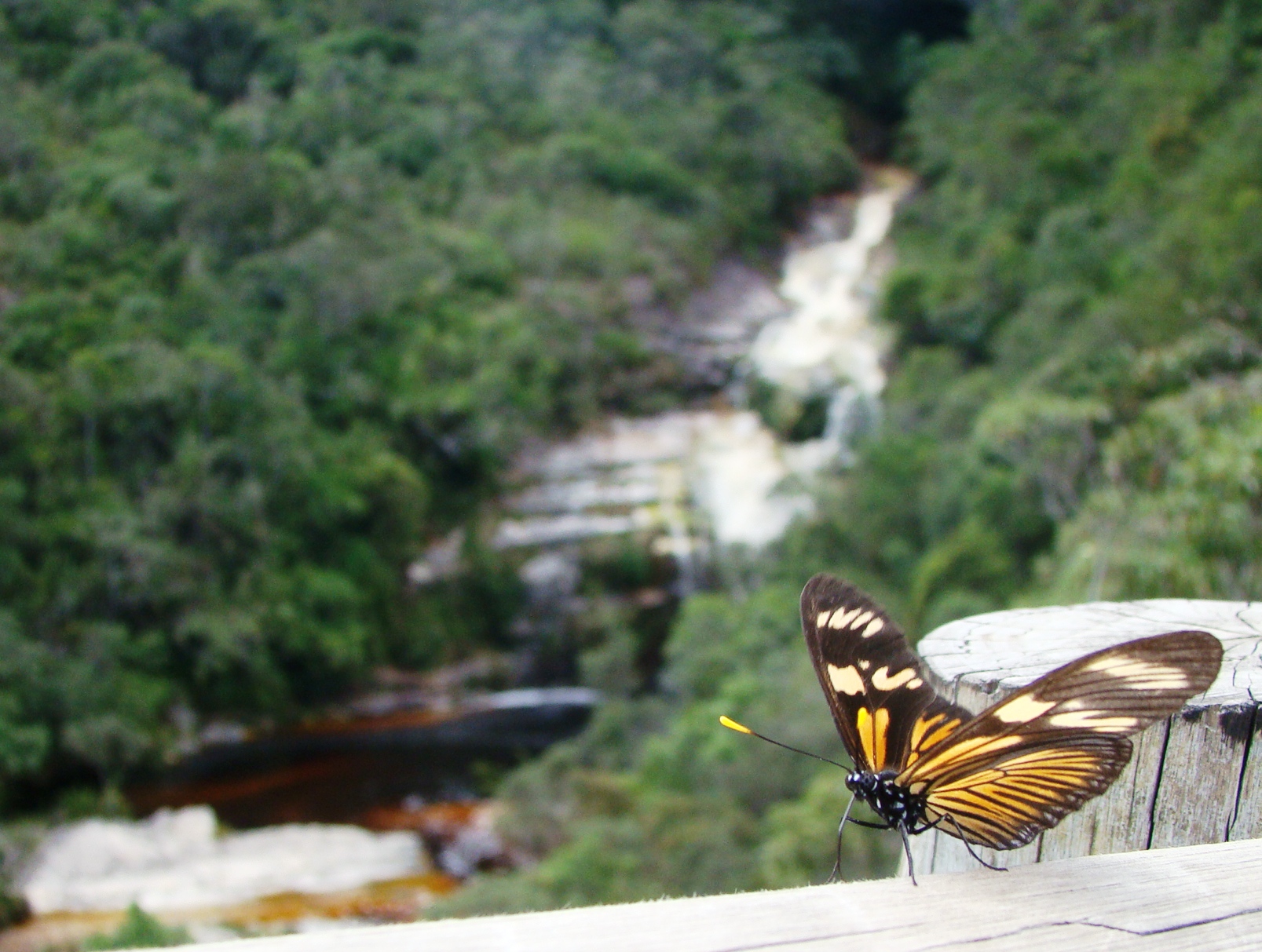Águas - Parque Estadual de Ibitipoca — foto 8 de 17